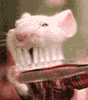 Чистка зубов (анимированный GIF) (88x100)
