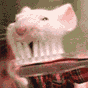 Чистка зубов (анимированный GIF) (88x100)