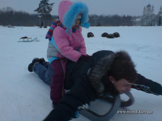 Санковая лошадь