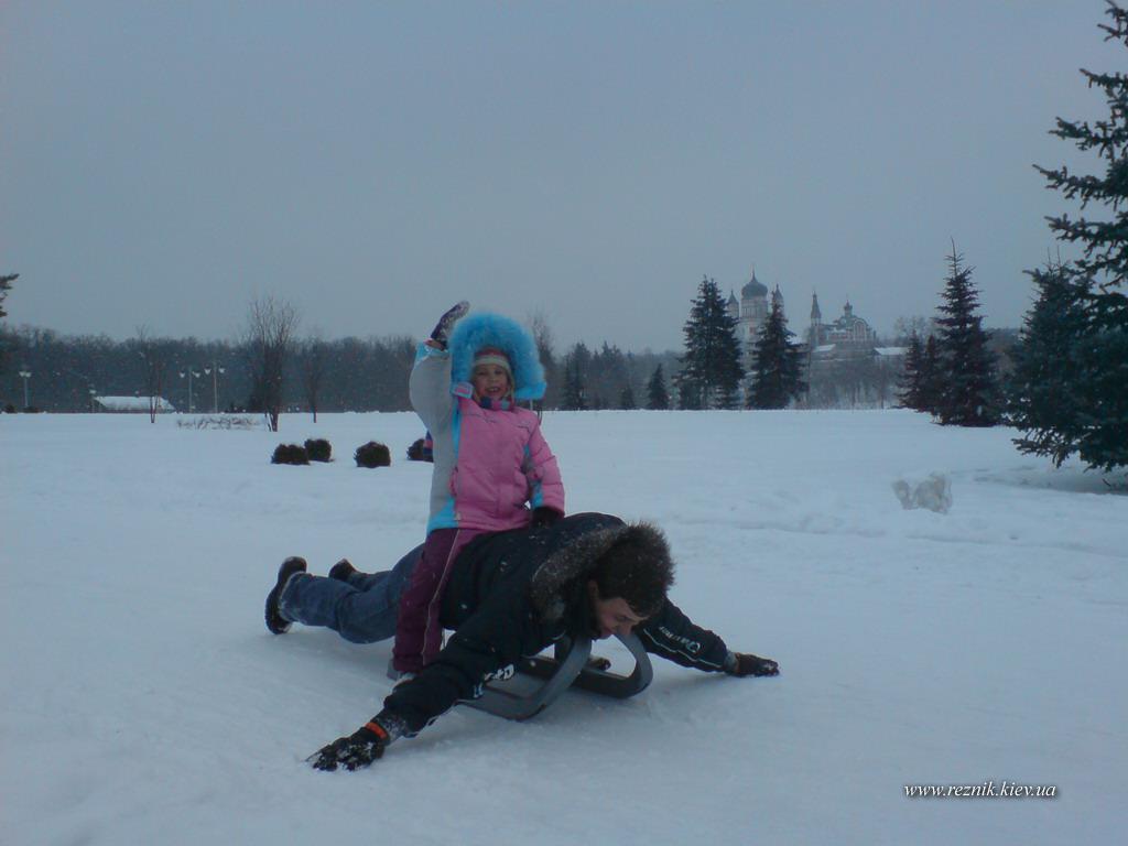 Санковая лошадь