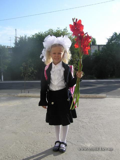 Долгая дорога в школу началась