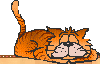 Кот (анимированный 100x64)