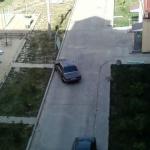 Всякая всячина