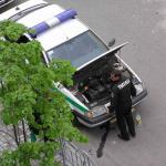 Всякая всячина