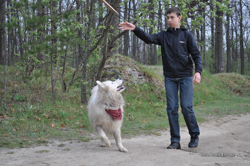 30 апреля - 1 мая. Черепашинецкий карьер