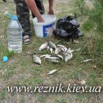 30 апреля - 1 мая. Черепашинецкий карьер