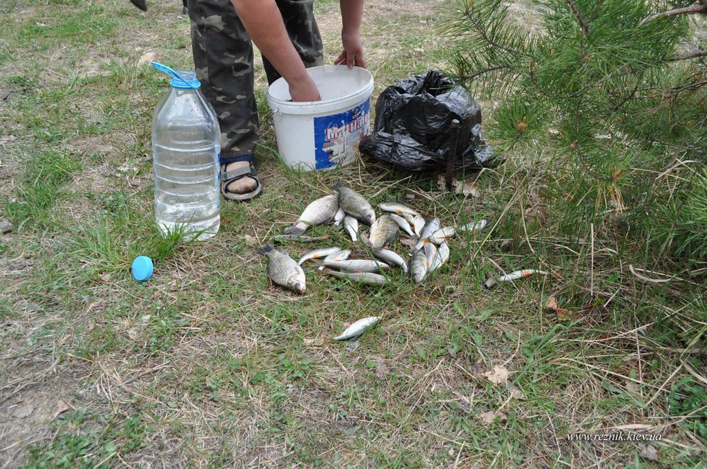 30 апреля - 1 мая. Черепашинецкий карьер