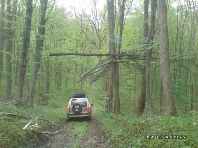 1 мая. Поход к лесному кордону