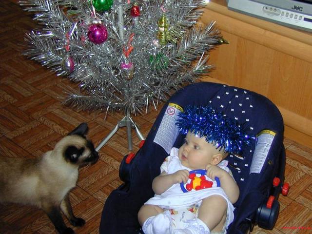 Первый Новый Год в жизни