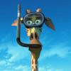 madagaskar3_03.jpg
