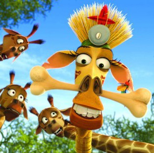 madagaskar3_15.jpg