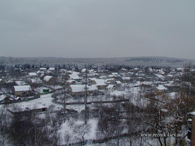 Новый 2004 год.