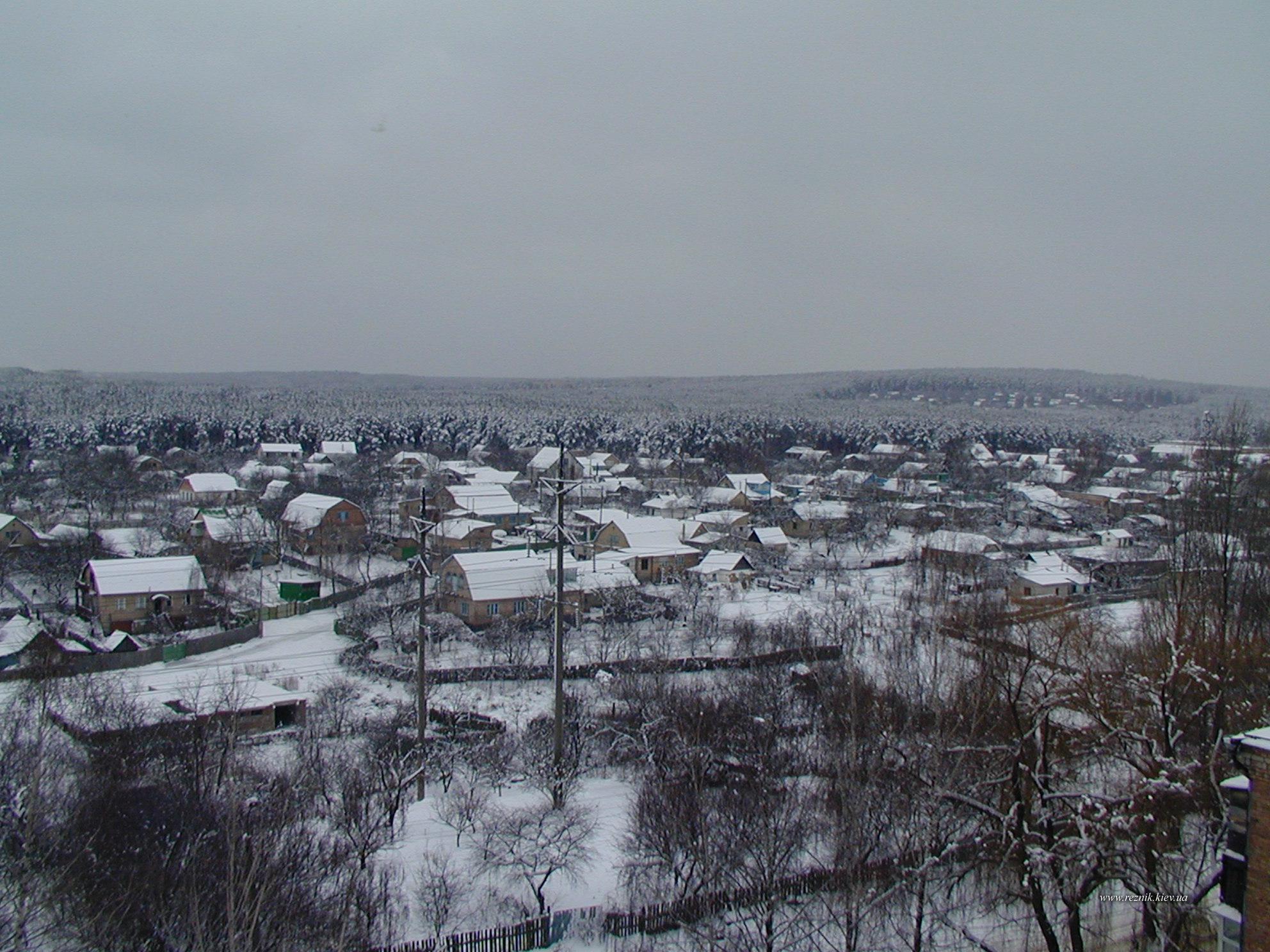 Новый 2004 год.