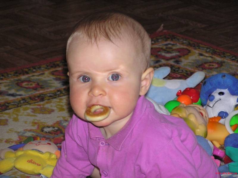 Соска или сушка?